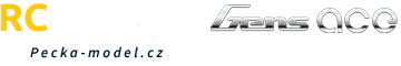 Primary Raster logo